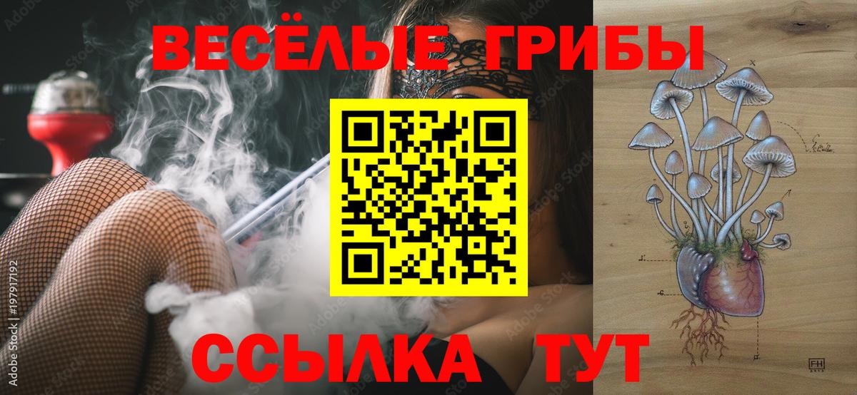 Псилоцибиновые грибы мухоморы Томск