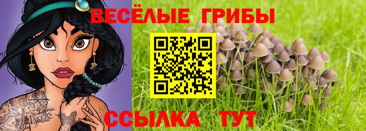  Cocaine Томск