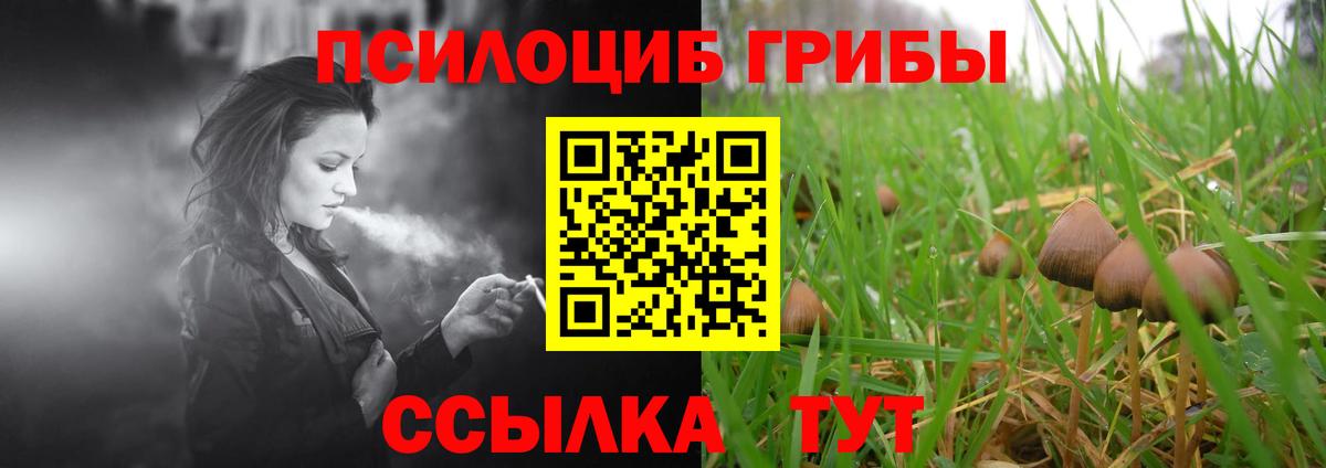 Галлюциногенные грибы мухоморы  Томск  Псилоцибиновые грибы Cubensis 